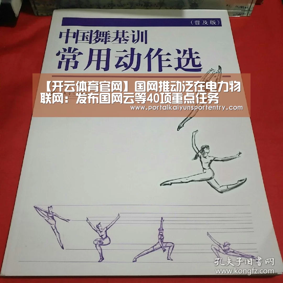 【开云体育官网】国网推动泛在电力物联网:发布国网云等40项重点任务(图4) 开云体育官方