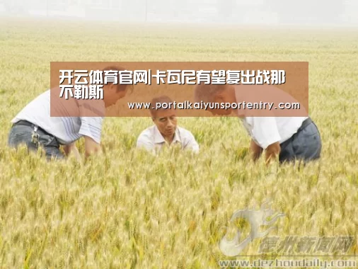 开云登录